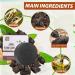 3PCS Black Hair Fallopia Multiflora Shampoo Bar with He Shou Wu Extract - Promotes Hair Growth and Prevents Loss - Buy Online on GoSupps.com