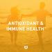 Vitamin C Immune Booster 2000mg - Double Strength Supplement for Immune Support, Collagen Boost & Antioxidant with High Absorption Ascorbic Acid - Buy Online on GoSupps.com
