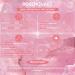 Rose Quartz Pendulum for Fortune Telling | Universal Radiesthesia Pendulum with 7 Chakras | International Shipping - Buy Online on GoSupps.com
