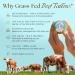Eat My Face Grass Fed Beef Tallow Skin Care Bundle Face Moisturizer Night Cream & Deep Hydration Balm | Non-Greasy Daily & Nighttime Moisturizing Set 4 fl oz Each Made in USA - Buy Online on GoSupps.com