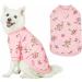 Blueberry Pet 2022/2023 New Spring Scent Inspired Rose Flower Crew-Neck Pullover Dog Sweatshirt in Baby Pink  Back Length 14"  Pack of 1 Clothes for Dogs 14 inch (Pack of 1) Crew-neck - Baby Pink - Buy Online on GoSupps.com