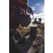 GSI Outdoors Halulite Tea Kettle 1 Quart - Multicolor - One Size - Buy Online on GoSupps.com