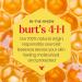 Burt's Bees Watermelon Lip Shimmer 2.6g - 100% Natural - Buy Online on GoSupps.com