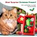 VavoPaw Christmas Stocking Cat Toys - Interactive Santa Claus Teaser Wand, Plush Rat Ball & Gingerbread Man - Fun Holiday Gifts for Cats - Buy Online on GoSupps.com
