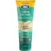 Dermatonics Soothing Foot Cream - Rapid Relief for Athlete's Foot, Dermatitis & Dry Skin - With Calming Colloidal Oatmeal - Diabetic & Vegan Friendly - 70ml (Pack of 1) - Buy Online on GoSupps.com