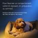 RESCUE Pets Night Dropper 20 ml Peace of Mind for Pets Ideal for Travel Vet Visits Grooming Noise Loneliness Alcohol Free Natural and Vegan - Buy Online on GoSupps.com