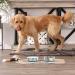 Bone Dry Pet Bowl Collection - Small Marble Ceramic Set (2 Count, Teal) - 6x2 Medium Size - Buy Online on GoSupps.com