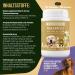 Nativivo High-Dose Probiotic Biotin & Zinc Dog Complex - 100 Tablets for Shiny Fur Hair Loss Relief Itching & Dry Skin - Made in Germany - Buy Online on GoSupps.com