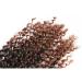 12 Inch Short Passion Twist Hair Marlybob Crochet Hair - 6 Bundles 12 Kinky Curly Crochet Hair for Black Women - Buy Online on GoSupps.com