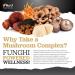 Mushroom Complex with Lions Mane 320mg - 150 Vegan Capsules | High Strength 6 Types of Mushrooms - Chaga, Cordyceps, Shiitake, Reishi, Maitake & Lion's Mane with Vitamin D | Lion's Mane Supplement - Buy Online on GoSupps.com