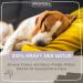 Provicell Relaxvital Powder 60g for Dogs | Natural Relaxation with Valerian & Lemon Balm | Vet-Developed in Germany - Buy Online on GoSupps.com