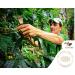 CofiCafe 6 Lbs Specialty Colombian Unroasted Green Coffee - Tatama Valle del Cauca (SCA 87) - Buy Online on GoSupps.com