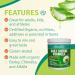 Aloe Life - Daily Greens Powder QAI-Certified Organic Health Supplement Antioxidants 21 Fruits Veggies & Herbs Including Aloe & Nopal Cactus Low-Calorie Keto-Friendly Gluten-Free (30 Servings) - Buy Online on GoSupps.com