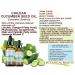 Botanical Beauty CUCUMBER SEED OIL (NOT ESSENTIAL OIL) 100% Pure Natural Refined Cold Pressed Carrier Oil 1 Fl oz - 30 ml for Face Skin Body Hair Nails - Buy Online on GoSupps.com