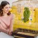 Vegan 8-Piece Bird Toys Set - Wooden Ladder & Cage Accessories for Budgies Parrots and Finches - Colorful Bird Playthings for Happy Pets - Buy Online on GoSupps.com