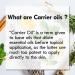 Pure Ocotea Oil (Ocotea Quixos) - Cold Pressed 5ml with Glass Dropper | International Shipping - d ve herbes - Buy Online on GoSupps.com