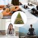 VMDDEKK Life Breek Orgonite Pyramid with Moonstone & Labradorite - Chakra Healing Crystal Gift for Friends - Buy Online on GoSupps.com