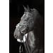 Cancun Black Pony - Stylish and Versatile International Shipping Available - Buy Online on GoSupps.com