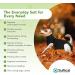 Buy Suitical Recovery Suit for Dogs - M+ Size in Black | Ideal Post-Surgery Pet Wear - International Shipping Available - Buy Online on GoSupps.com