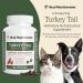 Real Mushrooms Lions Mane for Humans (120ct) & Turkey Tail for Pets (90ct) - Bundle for Cognition and Immunity - Vegan Non-GMO Grain-Free Gluten-Free Mushroom Extract Capsules - Buy Online on GoSupps.com