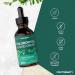 Liquid Chlorophyll Drops for Water | 100ml - 3+ Months Supply | Vegan Liquid Food Supplement Extracted from Alfalfa | Mint Flavour | by Horbaach - Buy Online on GoSupps.com