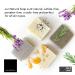 Natural Fixed Shower Gel & Soap for Men & Women | Black Tea & Coffee Peeling | Dead Sea Mud & Salt - Rejuvenating Body Soap - Buy Online on GoSupps.com