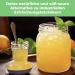 Curly Superfood Original Water Kefir Crystals 30g - Bio Easy Instructions & Success Guarantee - Enhance Your Probiotic Experience - Buy Online on GoSupps.com