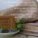 Handmade Nigella Sativa Genuine Soap - 100% Pure and Natural Black Seed Soap - Traditional Pure and Organic Soap - Suitable for Children and Sensitive Skin - Made in Italy - Buy Online on GoSupps.com