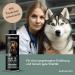 Animalius BARF Complete Oil for Dogs - Premium Salmon & Natural Oils Supplement (500ml) - Ideal for Healthy Diet - Buy Online on GoSupps.com