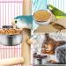 Amfrar 2 Pieces Stainless Steel Bird Feeding Bowls with Holder - 12cm Hanging Bird Bowls for Parrots Small Animals & Bird Cages - Buy Online on GoSupps.com