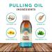 GuruNanda Oil Pulling Mouthwash 3-Pack | Ayurvedic Coconut, Sesame, Sunflower & Peppermint Oils | Oral Rinse for Bad Breath, Healthy Gums & Teeth Whitening (8.45 fl. oz) - Buy Online on GoSupps.com