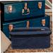 DOITOOL Storage Box Oxford Cloth Dog Storage Bag Blue Blue 23.5x13x9cm - Buy Online on GoSupps.com