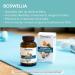 Himalaya Boswellia Capsules - Joint Support & Mobility - 240 Count (2 Month Supply) - 250 mg Flexibility Supplement - Buy Online on GoSupps.com