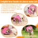 Roll Ruff Adjustable Dog Leak Protection Collar - Soft Breathable Pink & Rose Red Neck Band for Small Pets | Eco-Friendly & Comfortable - Buy Online on GoSupps.com