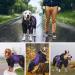 OUOBOB Waterproof Dog Raincoat for Large Dogs - Lightweight Adjustable 4 Legs Pet Poncho with Hood - Snow-Proof Dog Vest Rainwear - Large Purple - Buy Online on GoSupps.com