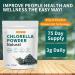 Chlorella Powder Natural- Chlorophyll Powder Supports Immune System & Liver Function Keep Youth Vegan Rich in Vegan Protein and Vitamins 8 oz. 8 Ounce (Pack of 1) - Buy Online on GoSupps.com