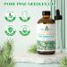 EVOKE OCCU Peppermint Essential Oil and Pine Needle Essential Oil - 4 Fl Oz - Buy Online on GoSupps.com