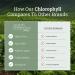 Organic Chlorophyll Liquid Drops - Immune System Support & Energy Boost - Peppermint Flavor - Natural Internal Deodorant - Vegan Detox Cleanse - 1 ml (50 mg) - Buy Online on GoSupps.com