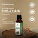 100% Pure Parsley Seed Oil - Natural Therapeutic Grade Essential Oil - Petroselinum Crispum - 1.69 Fl.Oz (50ml) - Uncut & Undiluted - Buy Online on GoSupps.com