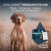 Vital-Friend Sterile Dog Eye Care Cloths - 20 Opaque Towels Preservative-Free Gentle Cleaning on the Go - Buy Online on GoSupps.com