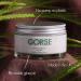 Buy Gorse Cream 200ml - Natural Skin Care | Fast International Shipping - Buy Online on GoSupps.com