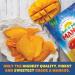 Dried Mango Slices - Soft, Juicy, Low Sugar, Gluten-Free, Natural Source of Vitamin C & Fiber (8 oz. x 6 Pack) - Buy Online on GoSupps.com