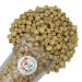 FirstChoiceCandy Gourmet Roasted & Salted Macadamia Nuts, 2 Pound 2 Pound (Pack of 1)