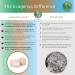 Shiitake (Lentinula Edodes) powder - Fantastic Fungi 100 grams - 3 month supply -Shiitake mushroom fruiting body powder - (Lentinula Edodes) mushroom extract Concentrated 100:1 Shiitake extract powder ready to use - Buy Online on GoSupps.com