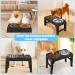 URPOWER Raised Slow Feeder Dog Bowls - Adjustable Height Elevated Stainless Steel Water Bowl and Non-Slip Food Stand for Small to Large Dogs - Black - Buy Online on GoSupps.com