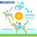 Kurgo Core Cooling Vest for Dogs - ICY Blue, Medium | Dog Cooling Jacket with Reflective Material & Adjustable Straps - Buy Online on GoSupps.com