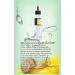 Snail Essence Solid Toner Spray | Hydrating Serum for Wrinkles Fine Lines & Dull Skin | 100ml - Replenish Water & Shrink Pores - Buy Online on GoSupps.com