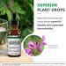 NutraMedix Burbur Detox Support Supplement - Desmodium Molliculum Extract Drops - Daily Cleanse & Brain Fog Fighter - Vegan Formula - 1 oz / 30 ml - Buy Online on GoSupps.com