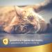 Natural Dry Shampoo Spray for Cats 250ml - Waterless Cat Bath Solution - Freshen Coat Without Water or Rinse - Linea 101 - Buy Online on GoSupps.com