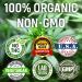 Organic Hemp Oil Extract 1000mg - Premium Pain, Stress, Joint & Sleep Support - Omega Fatty Acids 3 6 9 - Non-GMO & Ultra-Pure CO2 Extracted - Buy Online on GoSupps.com